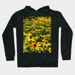 Black eyed Susans Hoodie